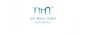 José Miguel Palmer